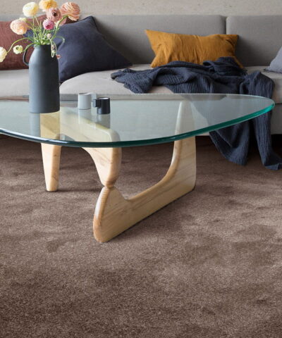 Vegg til Vegg Teppe Tahiti 40 brown