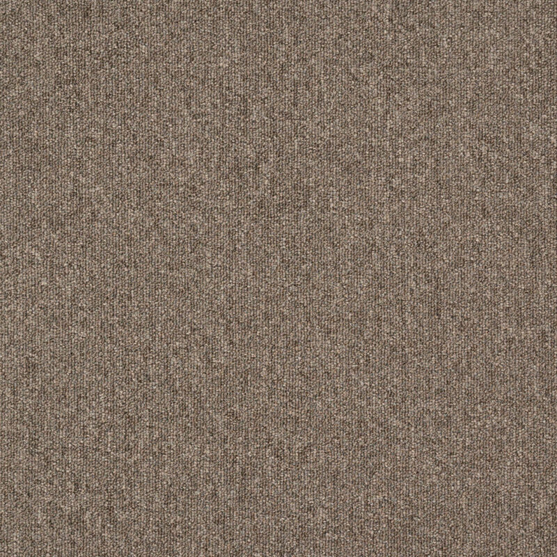 Shark Project 746 Sand