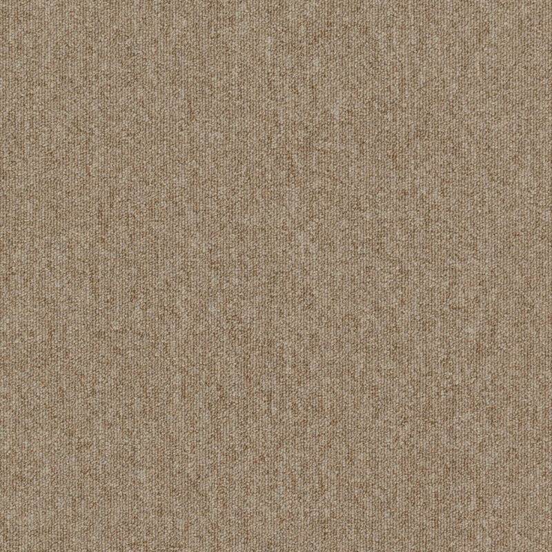 Shark Project 752 Light Beige
