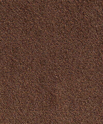 Vegg til Vegg Teppe Montreal 44 earth